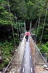 IMG_2649 swingbridge charming creek.JPG